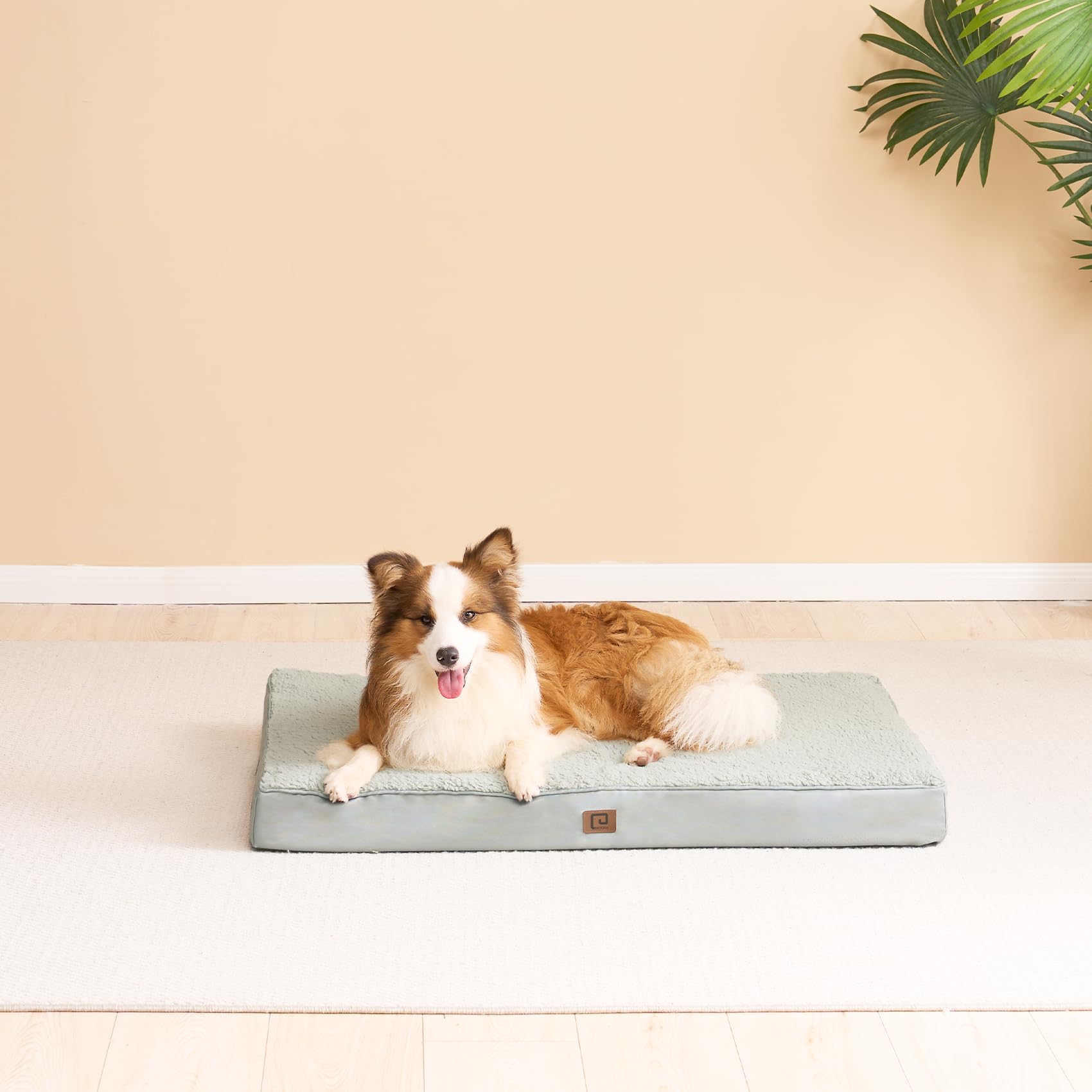 Orthopedic Dog Bed for Large Dogs - Washable Removable Cover, Greyish Green, 35x23 - Perfect for Crates, Kennels & Home Comfort