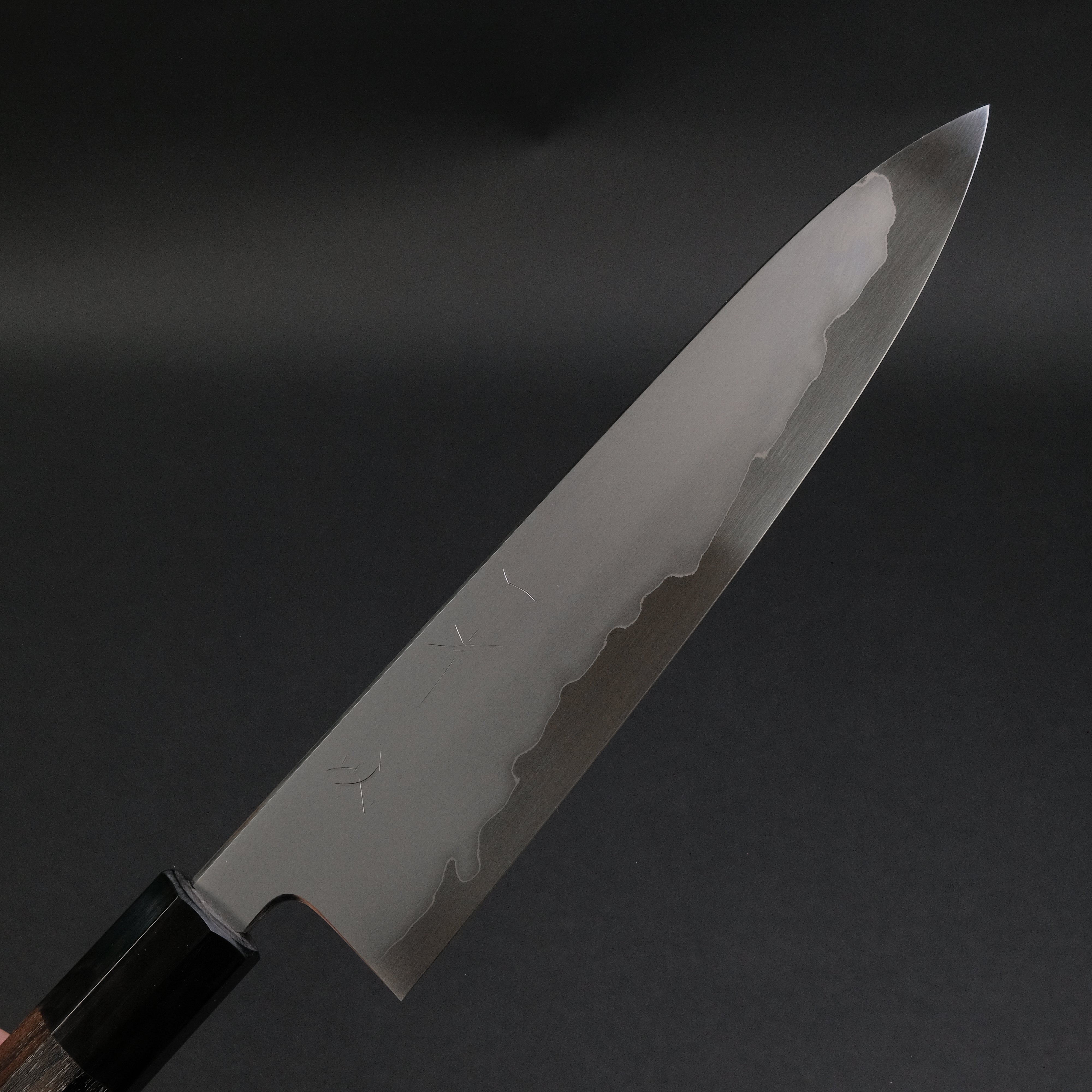 Hitohira Tanaka Izo Blue #1 Stainless Clad Gyuto 210mm Japanese Chef Knife - Premium Ziricote Wood Handle for Professional Chefs & Home Cooking - Perfect for Slicing, Dicing & Meat Cutting