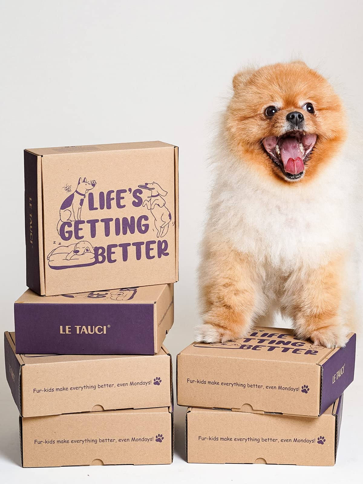 LE TAUCI Ceramic Slow Feeder Dog Bowl for Small Breeds - 0.6 Cup Puzzle Food Dish for Fast Eating Dogs & Cats - Purple - Perfect for Mealtime Portion Control and Digestion Aid