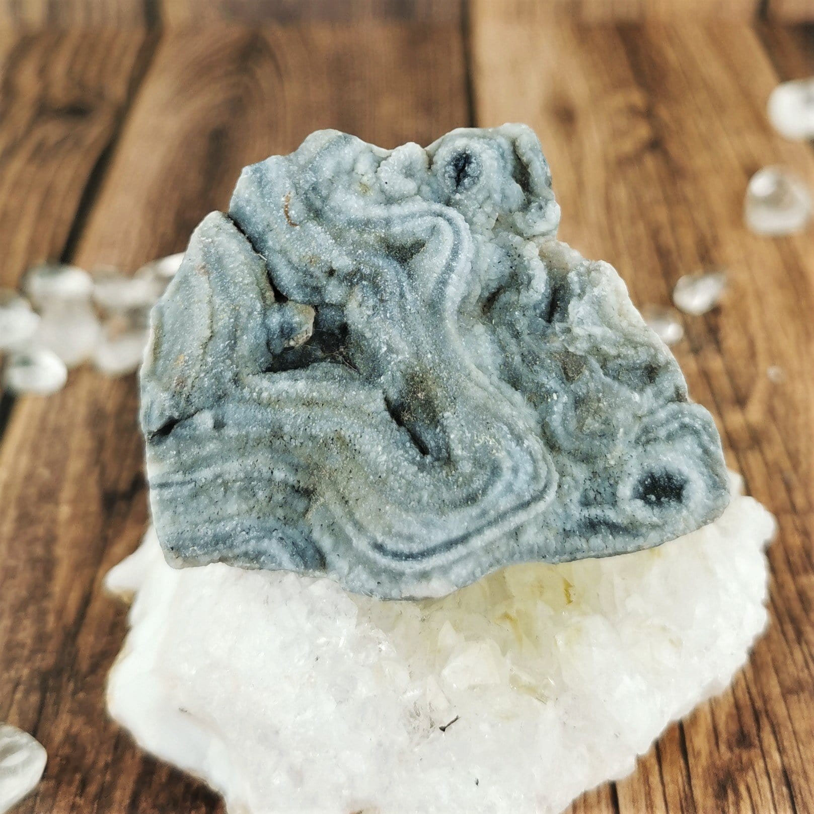 Natural Chalcedony Conch Shell Pins - Elegant Brooches for Women, Perfect for Dresses, Jackets & Hats | Boho Beach Jewelry