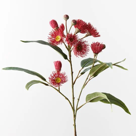 Red Eucalyptus Flowering Spray - Natural Dried Floral Decor for Home, Wedding, and DIY Crafts | Perfect for Bouquets, Centerpieces, and Rustic Decorations