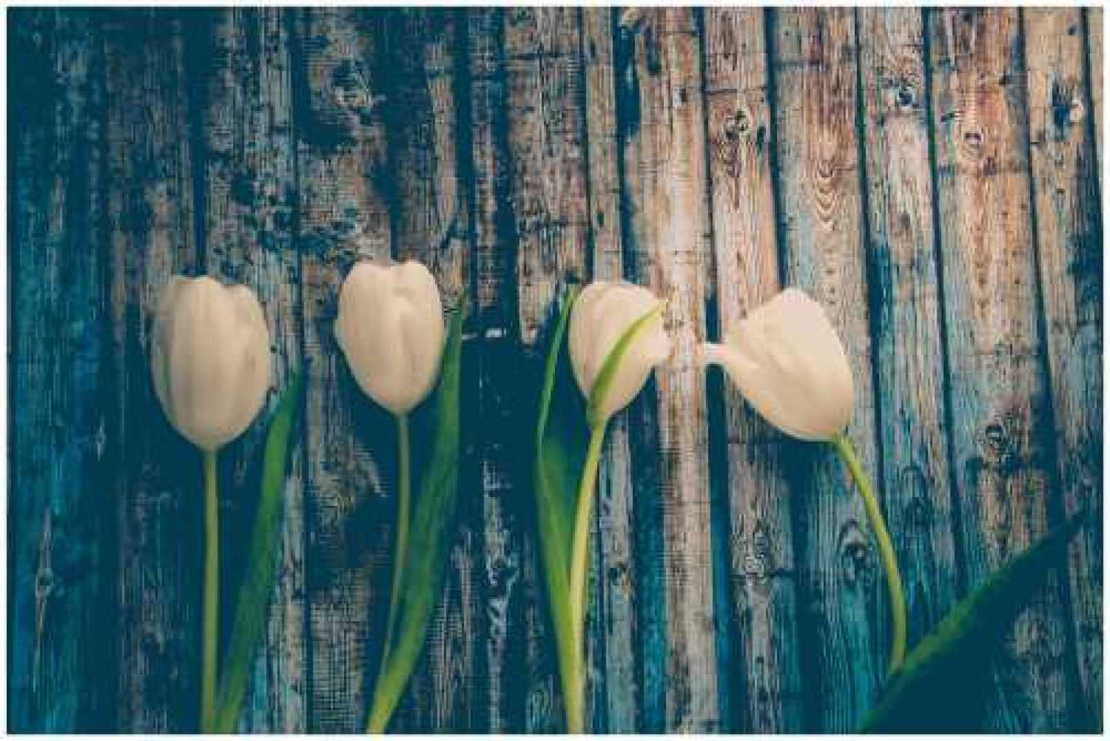 1000 Piece Wooden Jigsaw Puzzle for Adults - White Tulips Art Painting with Wooden Board | Home Decor, Stress Relief & Family Game Night Activity