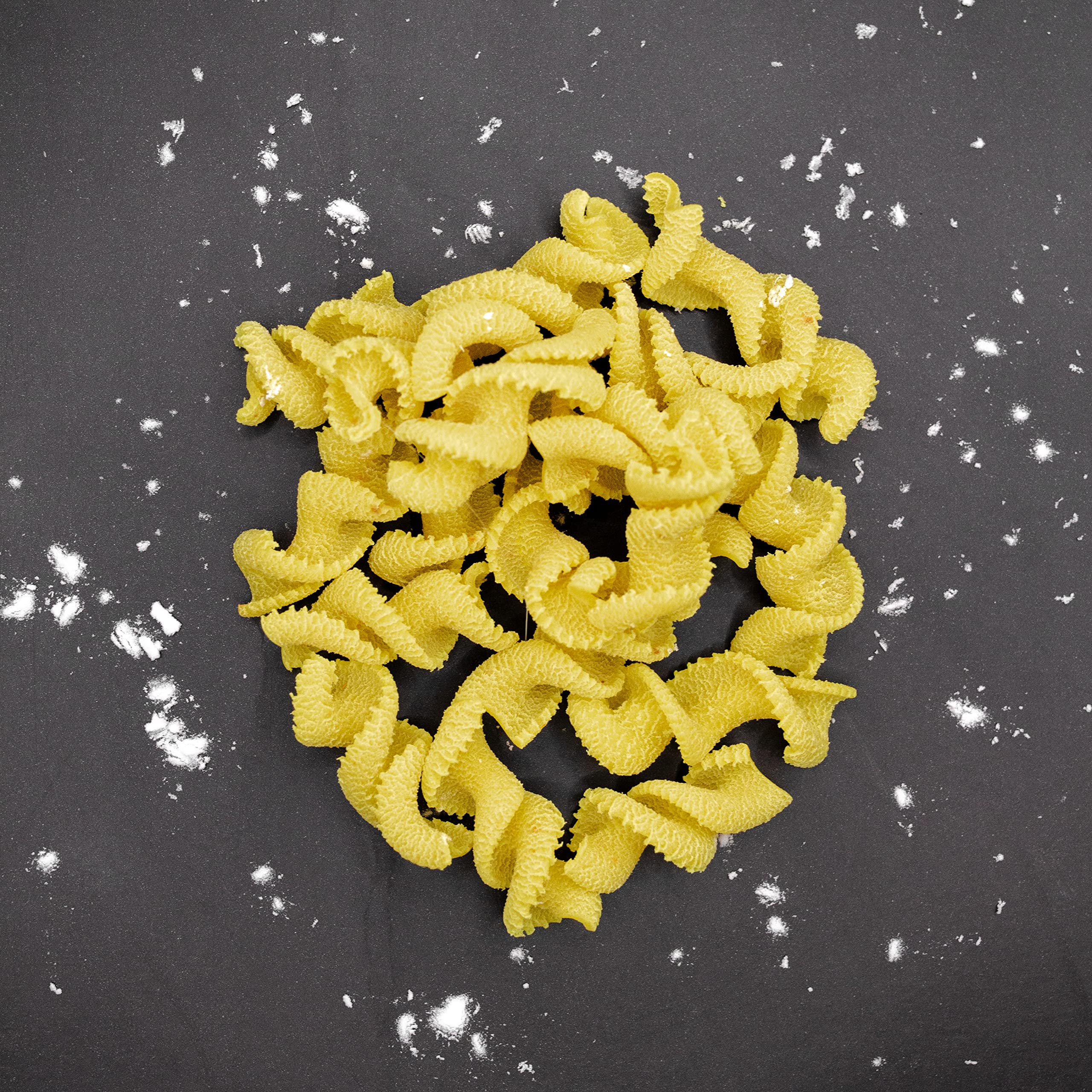 Rotini Pasta Disc Attachment for Philips Automatic Pasta Maker - Compatible with Philips Pasta & Noodle Machine - Durable Kitchen Appliance Accessory Kit - Perfect for Making Homemade Italian Pasta Dishes