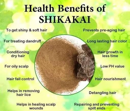 **AYURVEDIC ZONE Shikakai Whole Dry and Powder - Acacia Concinna, 100% Natural & Organic for Hair Care (200g) - Promotes Hair Growth, Reduces Dandruff, Strengthens Hair - Perfect for DIY Hair Masks & Ayurvedic Treatments**