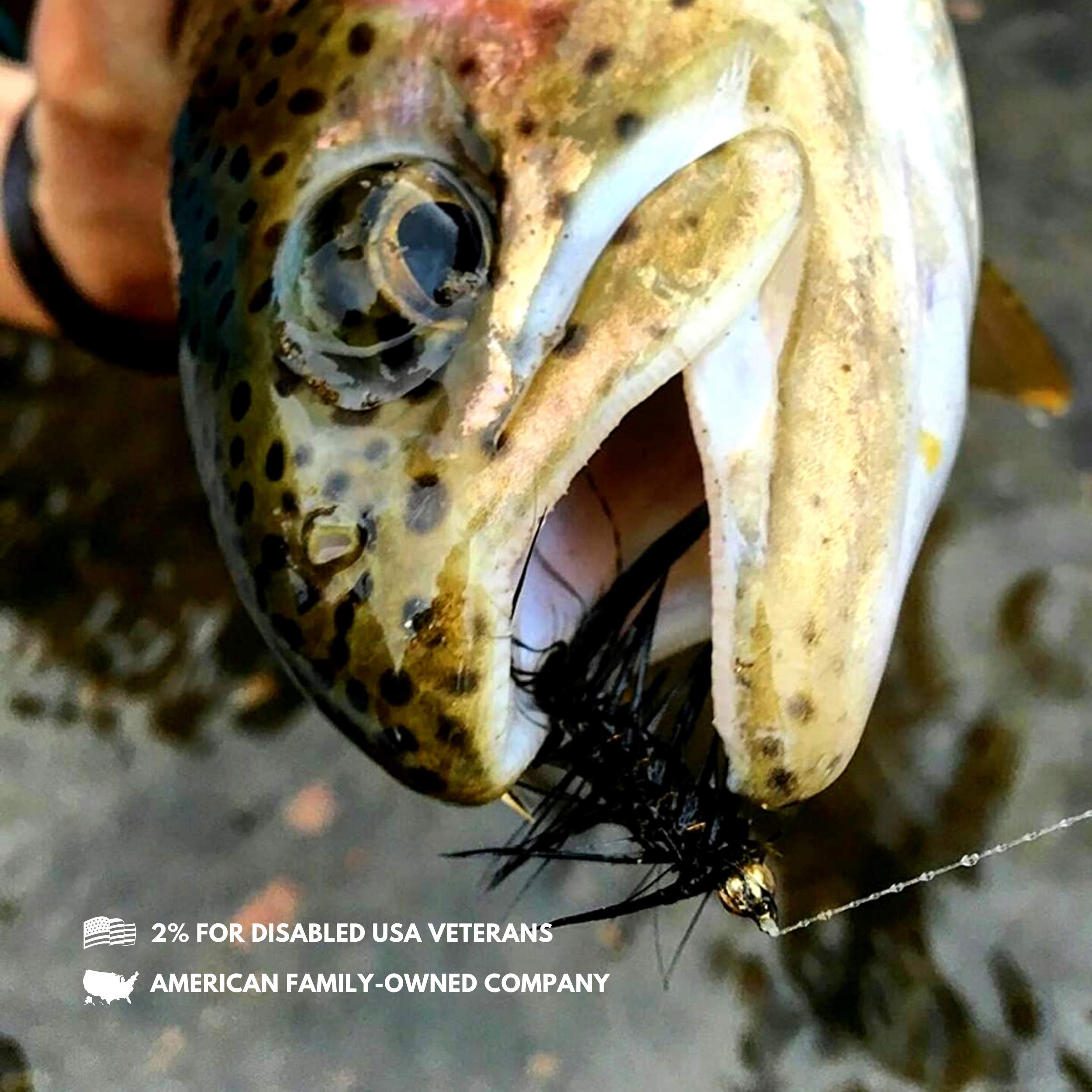 Woolly Bugger Flies for Trout Fly Fishing - Assorted Streamer Flies Kit | Perfect for Freshwater Fishing, Fly Tying & Outdoor Adventure