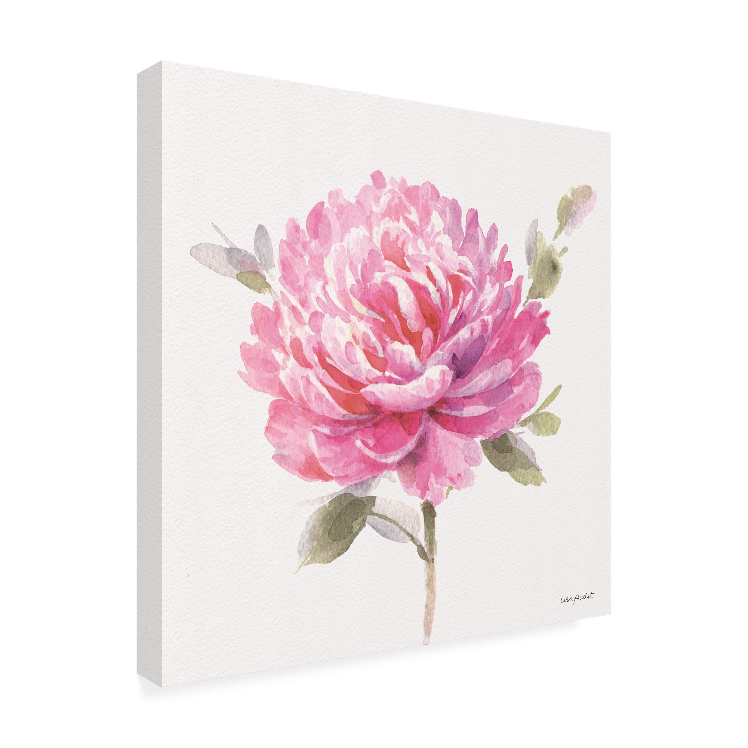 Lisa Audit 'Obviously Pink 03' Floral Canvas Wall Art Print - Modern Pink Flower Painting for Living Room, Bedroom & Office Decor