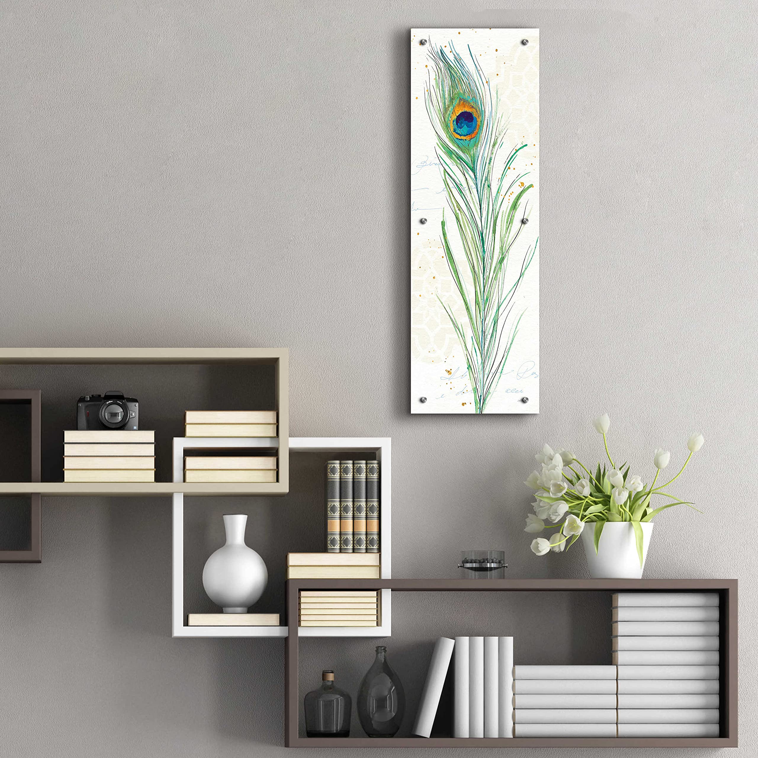 Epic Art 'Peacock Garden VI' by Ann Tavoletti - Vibrant Acrylic Glass Wall Decor 12x36 Inches - Perfect for Living Room, Bedroom & Office Decor