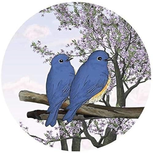 Blue Birds