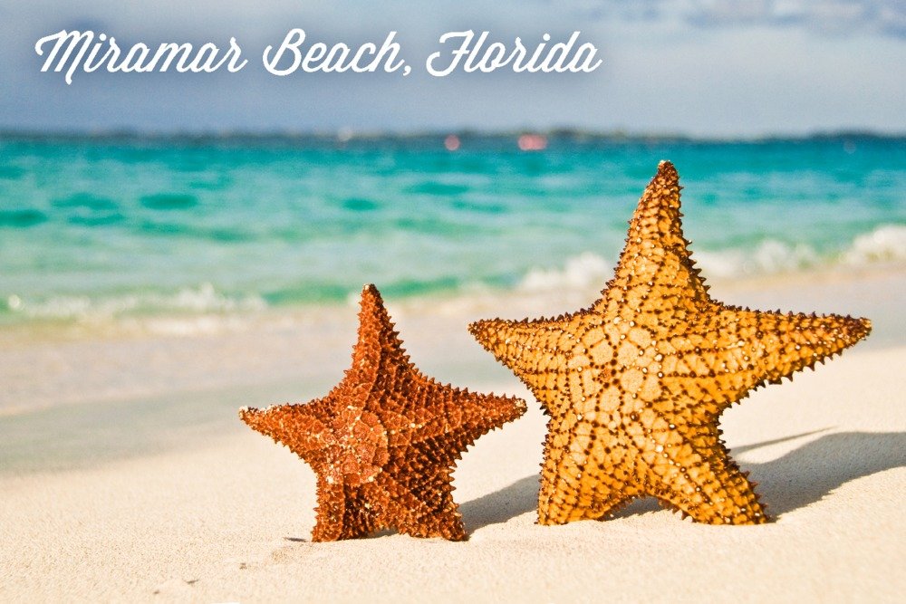 Miramar Beach Florida Starfish Metal Wall Art - 12x18 Gallery Quality Aluminum Decor for Coastal Living Room, Bedroom & Office