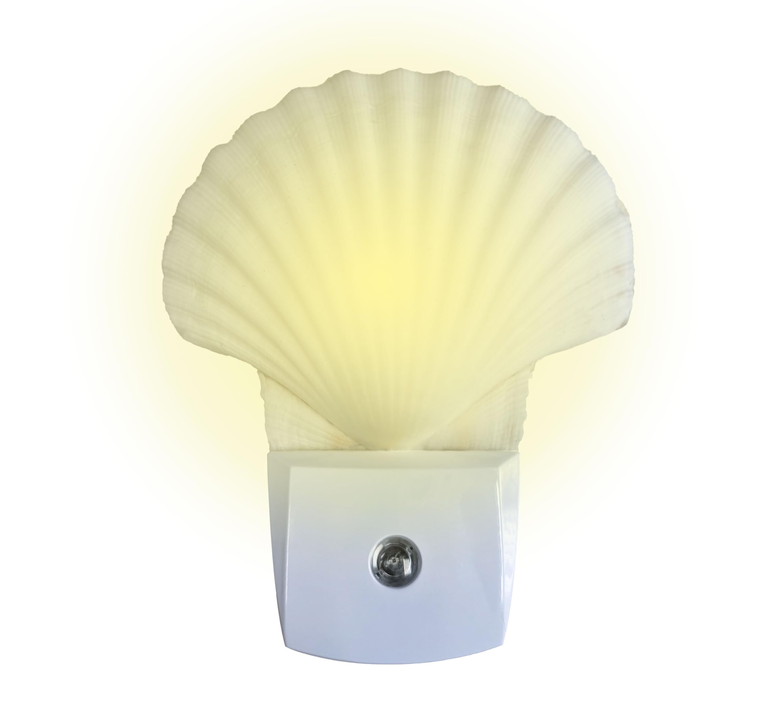 Nautical Crush Trading White Clam Shell Night Light - Plug-in Beach Themed Bathroom Nightlight for Kids & Adults - Perfect for Coastal Decor, Bedroom, Nursery & Spa Relaxation
