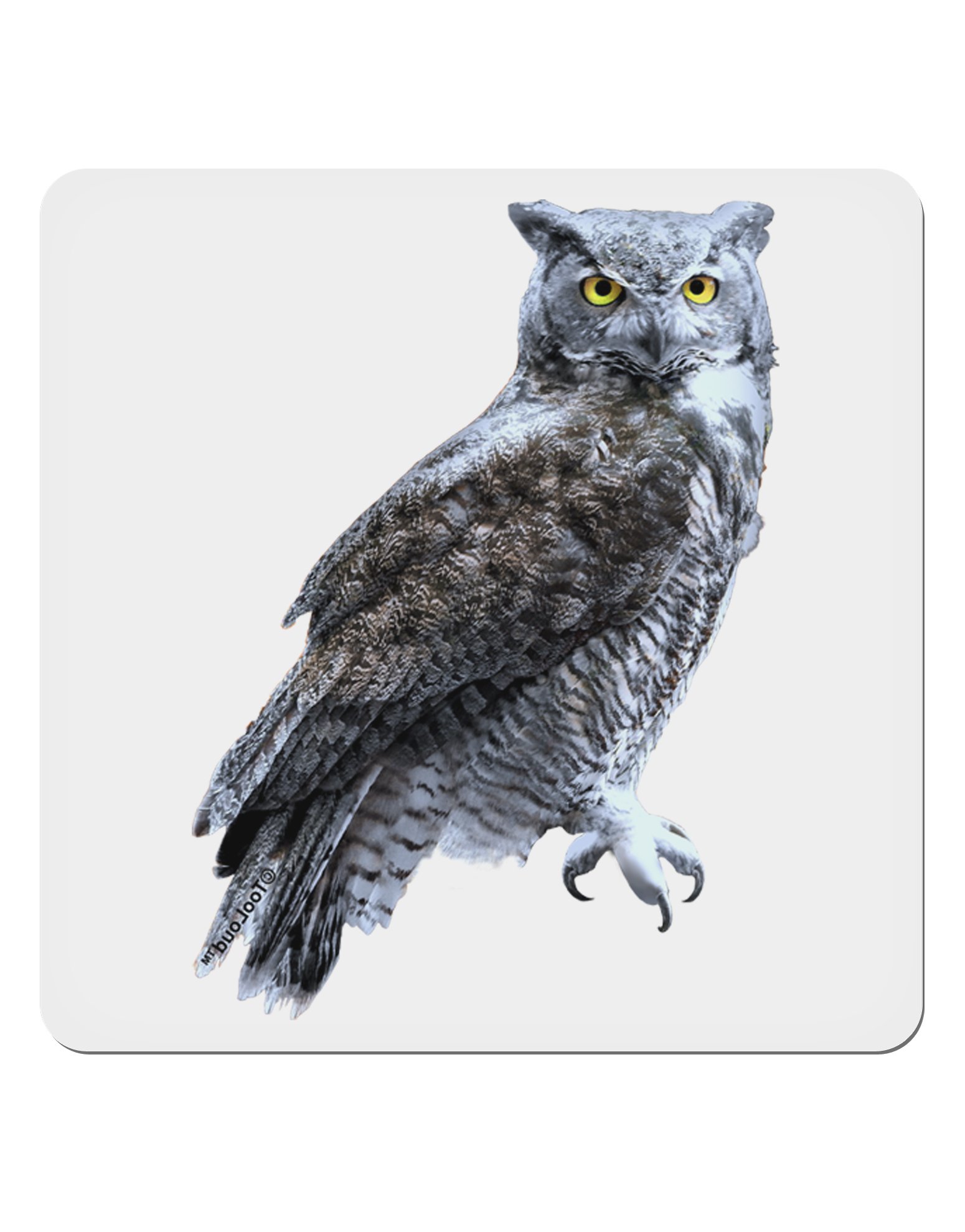 TOOLOUD Great Horned Owl 4x4 Inch Square Stickers - 4 Pack Waterproof Vinyl Decals for Laptop, Water Bottle, Bumper, Computer & Phone | Perfect for Nature Lovers, Outdoor Enthusiasts & Wildlife Decor