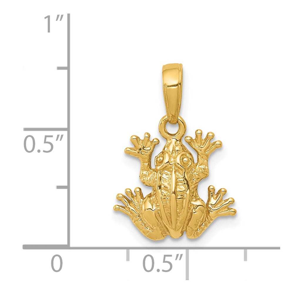 Gold Frog Pendant Necklace - Textured Amphibian Charm Jewelry (Model D4217) - Perfect for Nature Lovers, Animal Jewelry Collectors & Unique Gift Occasions