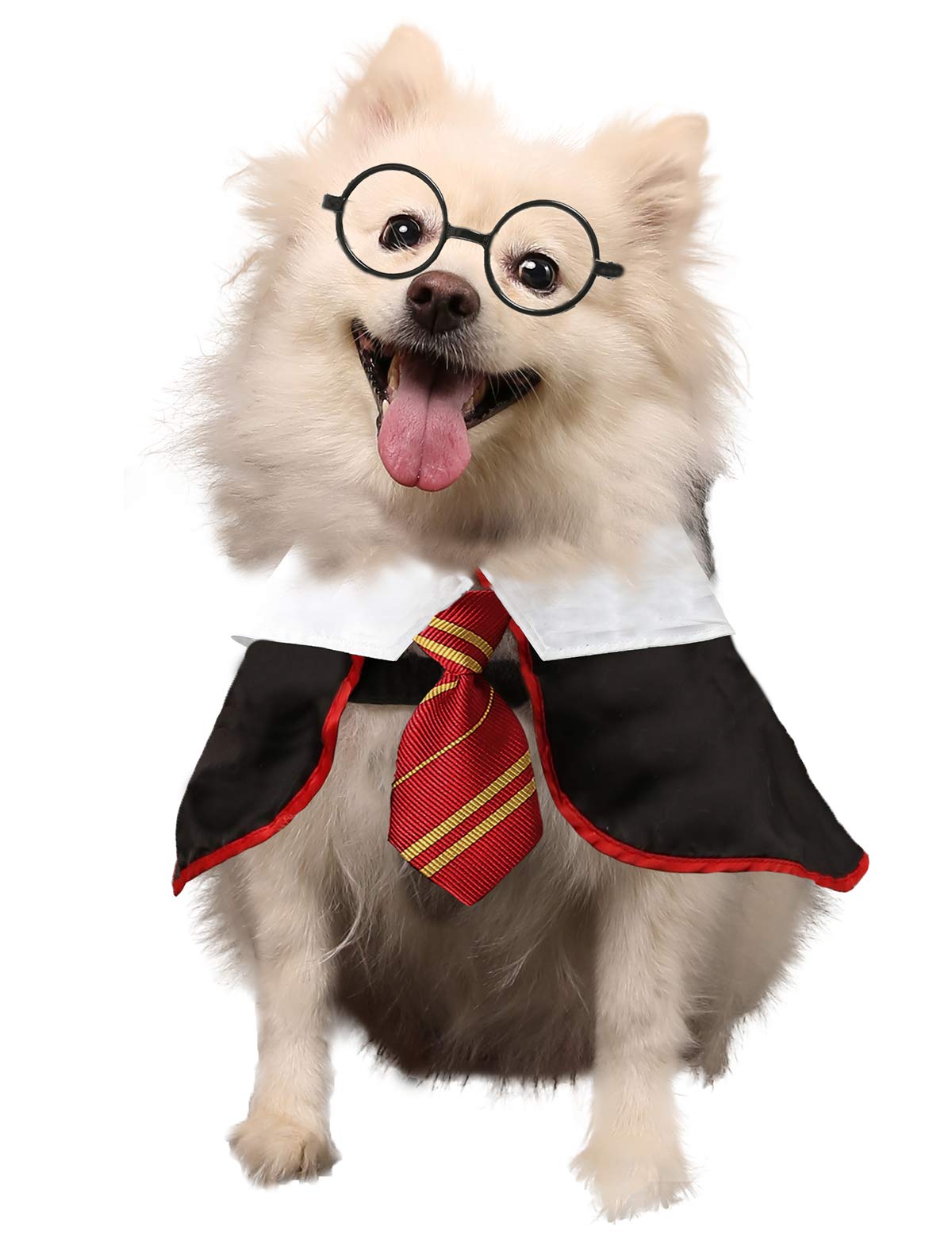 Halloween Wizard Costume for Dogs & Cats - Funny Pet Shirt with Glasses (Large Size) | Perfect for Halloween Parties, Pet Costume Contests & Photo Shoots
