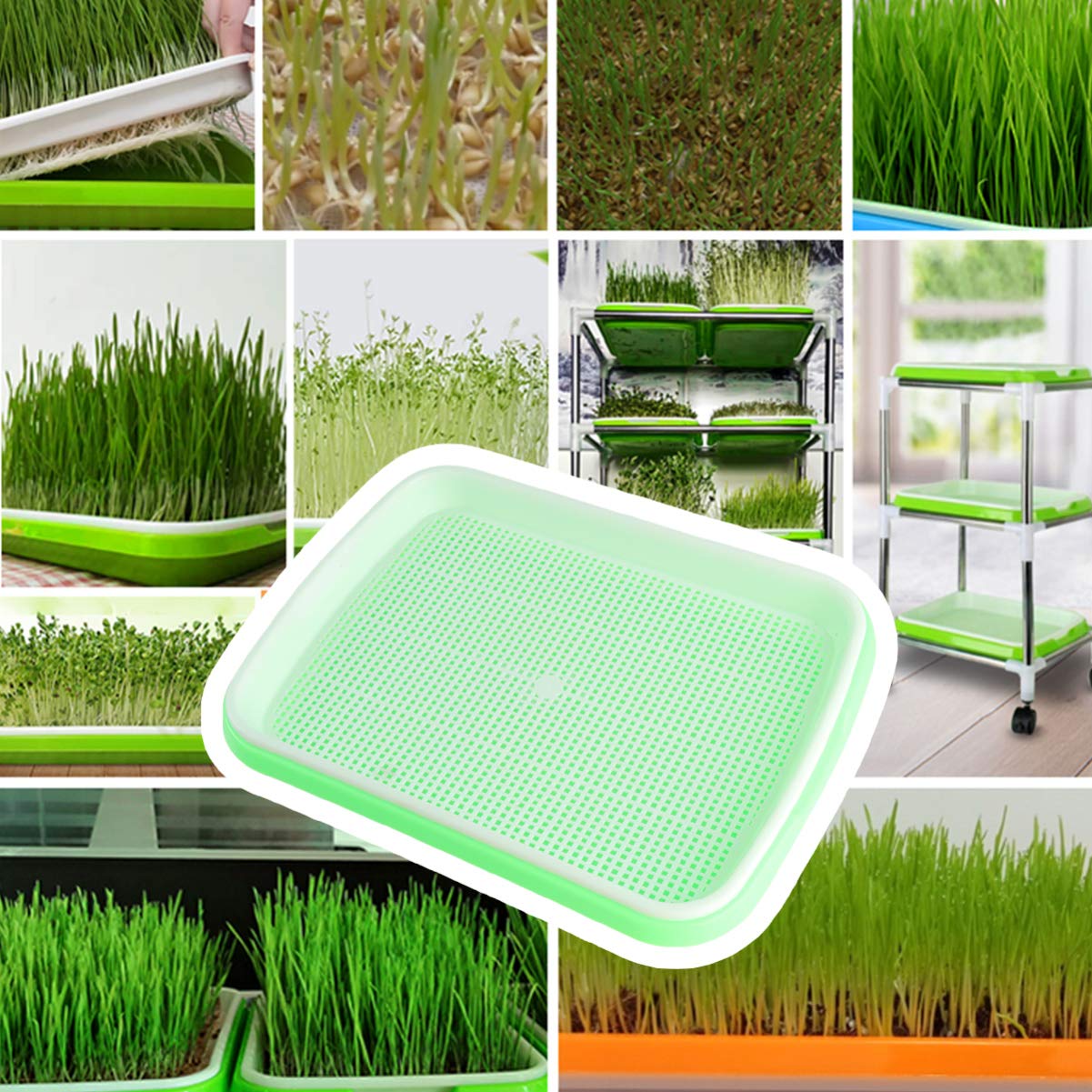 Premium Food Grade Seed Sprouter Tray Set - 1 PC Wheatgrass Grower Kit with Seed Tray, Water Tray & Paper Growing Trays for Indoor Gardening, Microgreens, Sprouts & Healthy Home Farming
