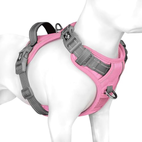 Baby Pink Base & Grey Straps