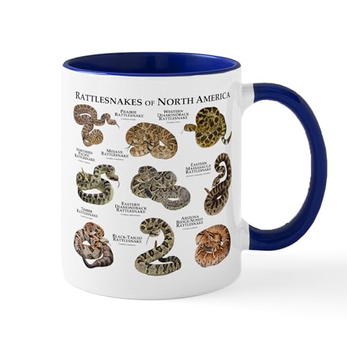 White/Navy Inside - Rattlesnakes Of North America Mug