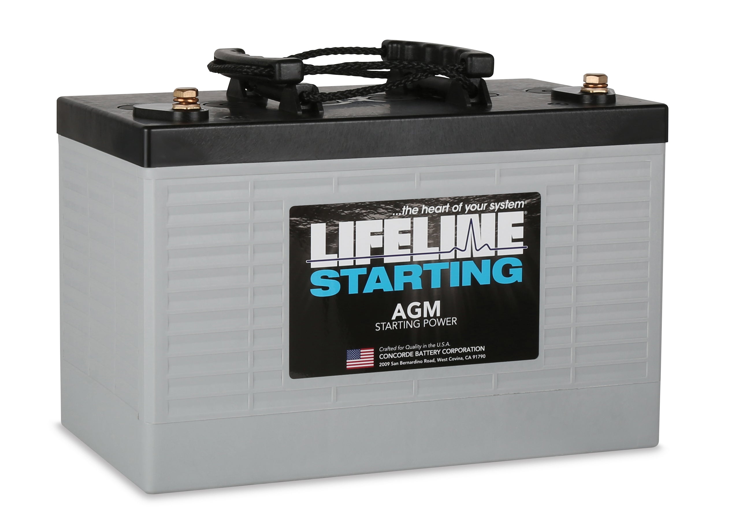 Lifeline GPL 3100T AGM Sealed 12V 1120CCA Starting Battery - High Performance Marine, RV & Off-Grid Power Solution