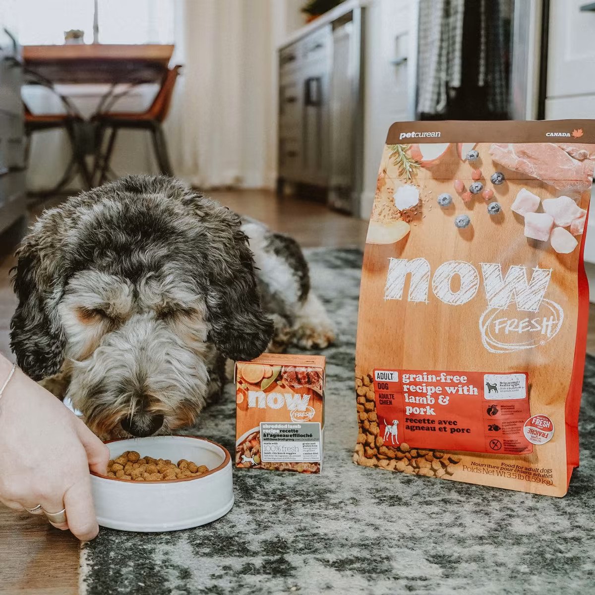 Grain-Free Lamb & Pork Dry Dog Food for Adults - High Protein, Hypoallergenic Kibble for Sensitive Stomachs - Perfect for Indoor & Outdoor Active Dogs