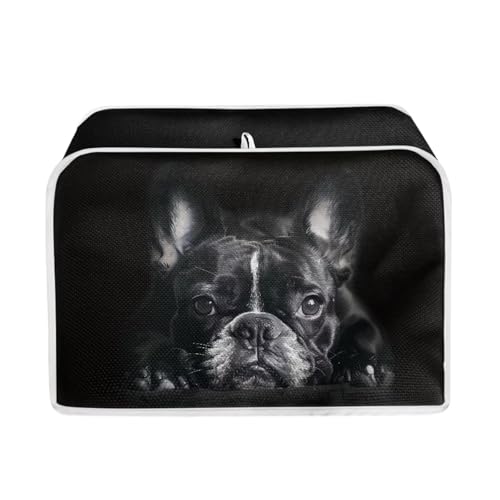 Black French Bulldog