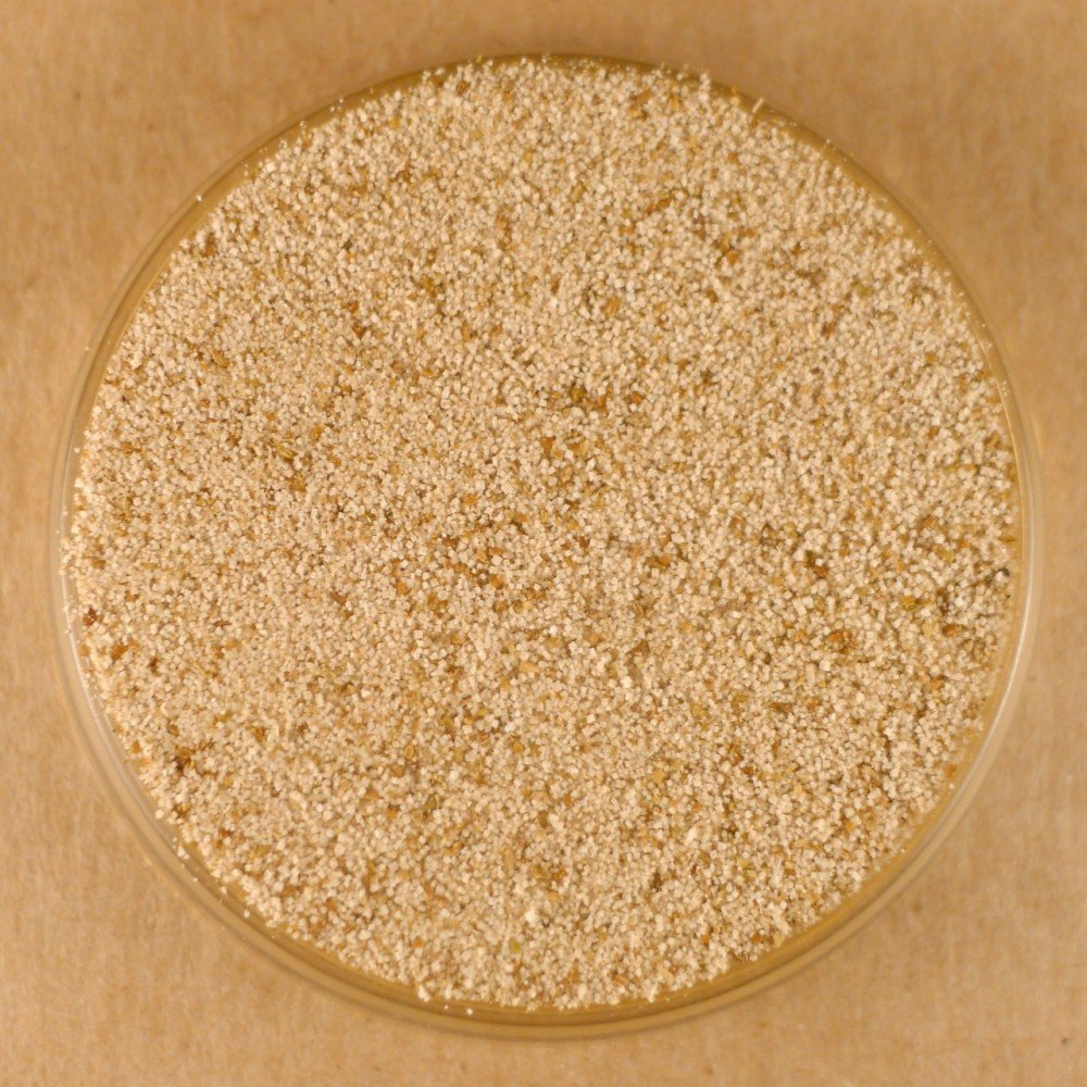 Premium Celery Salt - 50 lbs Bulk | All-Natural Seasoning for Soups, Stews & BBQ | Commercial & Home Cooking Use