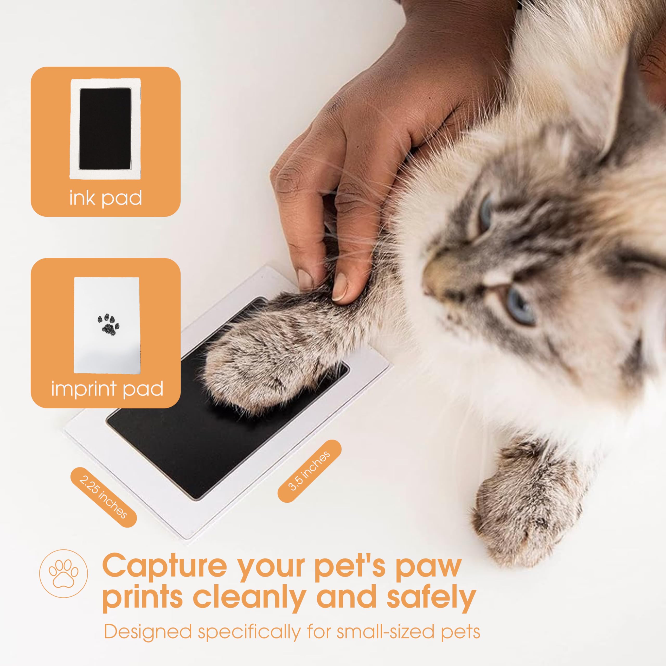 Pearhead Clean Touch Ink Pad Kit for Dogs & Cats - DIY Pet Paw & Nose Print Keepsake Set for Small/Medium Pets - Perfect for Creating Lasting Memories, Pet Adoption Gifts & Family Keepsakes