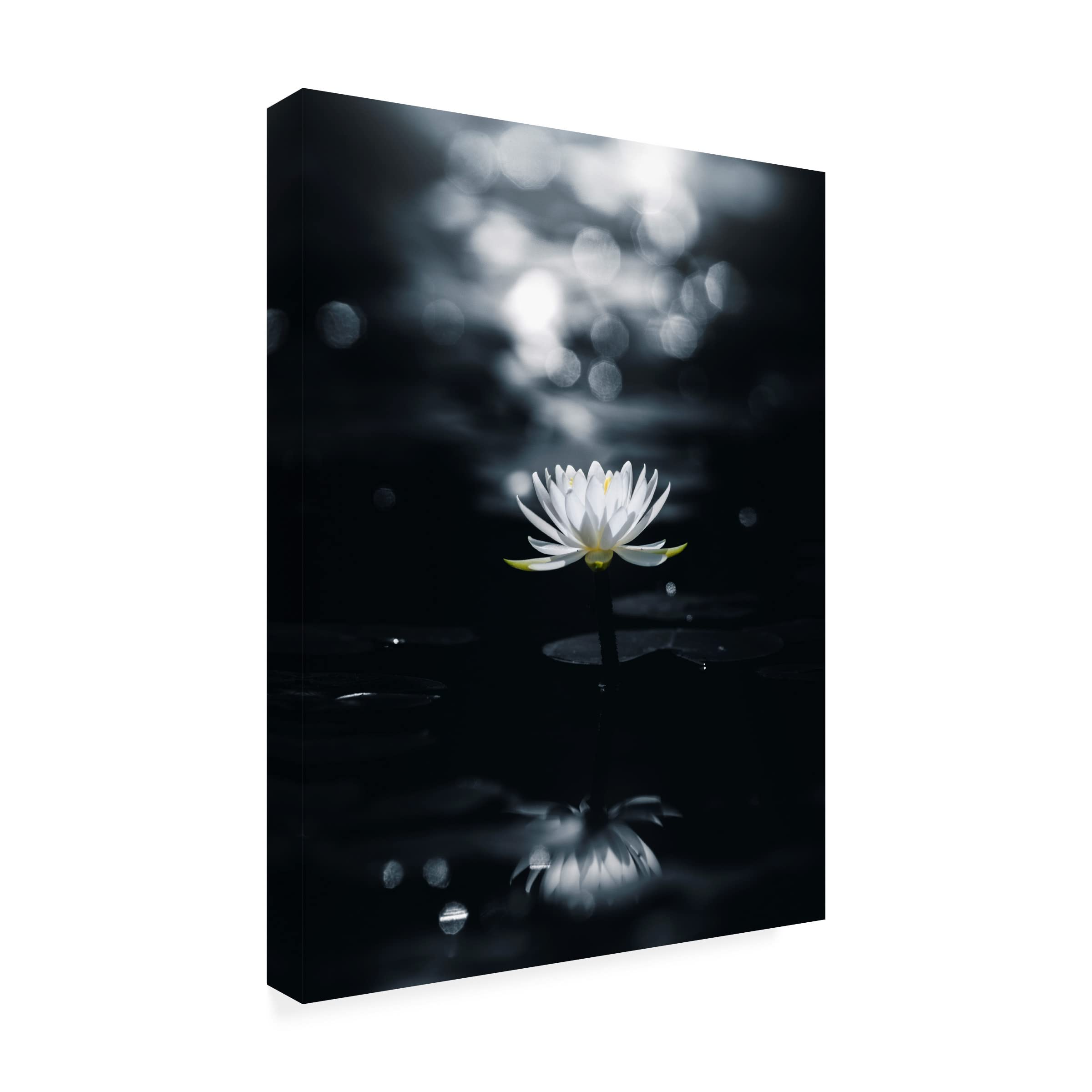 Reflection Canvas Art by Takashi Suzuki - Modern Wall Decor for Living Room, Bedroom & Office - Stretched Framed Ready to Hang
