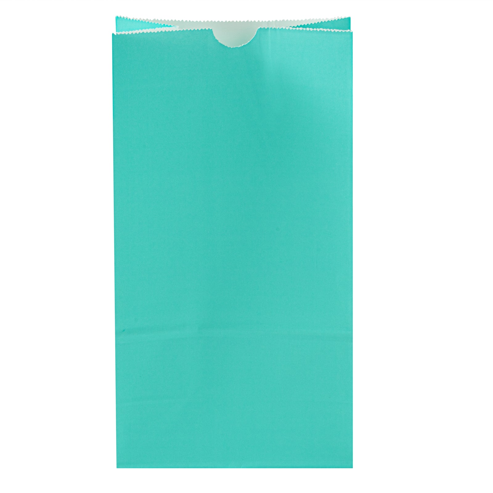 Premium Turquoise Paper Bags - 6 lbs, 6