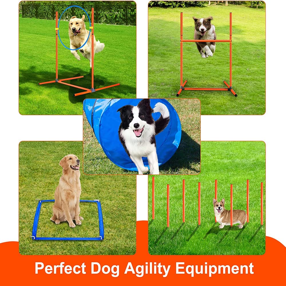 Premium Dog Agility Training Equipment Set - Complete Backyard Obstacle Course Kit with 2 Adjustable Jumps, Hurdle, Blind Tunnel, Standard Tunnel & Weave Poles for Indoor/Outdoor Dog Training & Play - Perfect for Backyard Fun, Dog Sports & Professional Agility Training