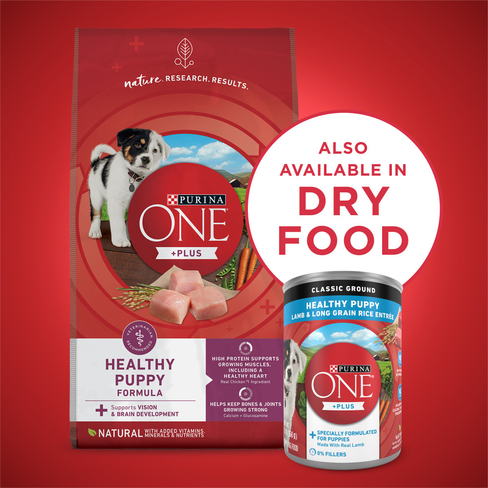 Purina ONE SmartBlend Classic Healthy Puppy Lamb & Rice Canned Dog Food - High Protein Puppy Food for Growing Dogs, Perfect for Training Treats & Mealtime Nutrition