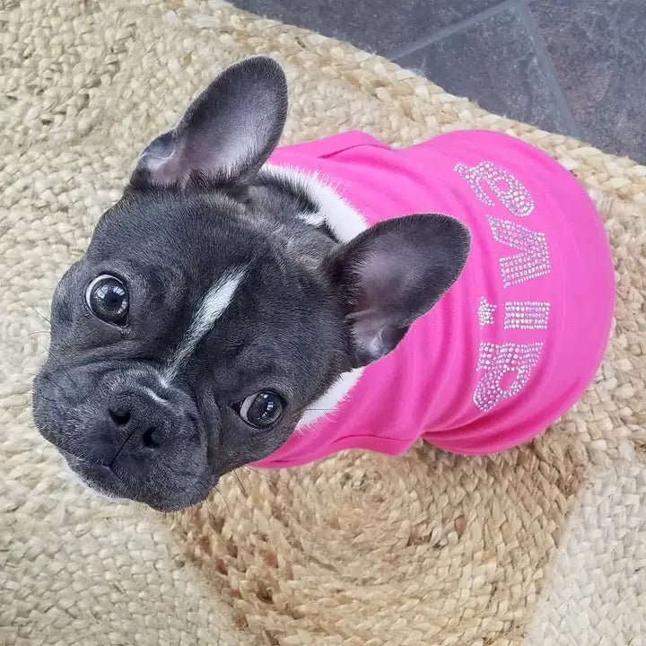 Diva Dog T-Shirt for Small & Medium Dogs - Cute Pet Apparel for Fashionable Pups - Perfect for Birthdays, Parties & Daily Walks