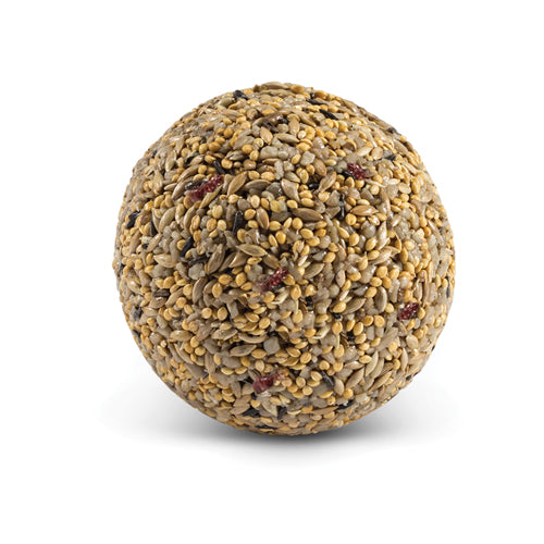Premium Wild Bird Seed Balls with Cranberry - High Energy Finch Food for Backyard Birds | Attracts Finches, Cardinals & Songbirds | Perfect for Bird Feeders, Gardens & Winter Feeding