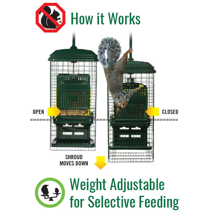 Brome Squirrel Buster Suet Feeder - Squirrel Proof Bird Feeder for Outdoor Use, Durable Metal Construction - Perfect for Backyard, Garden & Wildlife Watching