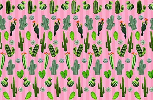 Cactus Garden
