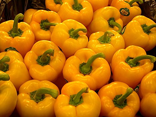 Seed Kingdom Bulk 1/4 Lb Sweet Golden Cal Wonder Heirloom Pepper Seeds - Non-GMO Vegetable Seeds for Home Gardening, Canning & Fresh Eating