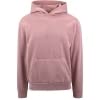 Hoodie | Salmon