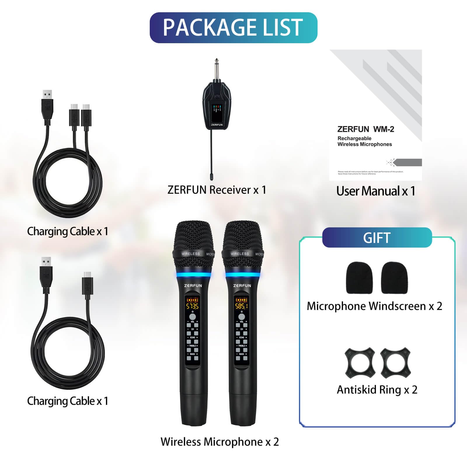 Professional UHF Dual Wireless Microphone System - Rechargeable Cordless Mic with VOL, Channel, Echo, Treble & Bass Control, 1/4