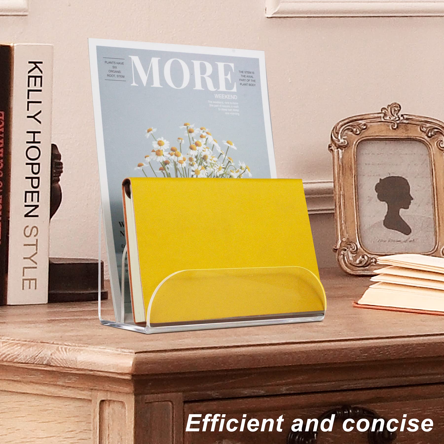 Clear Acrylic Mail Organizer - 2-Tier Desktop File Sorter with Letter Holder for Home & Office Organization | Perfect for Bills, Documents, and Mail Sorting
