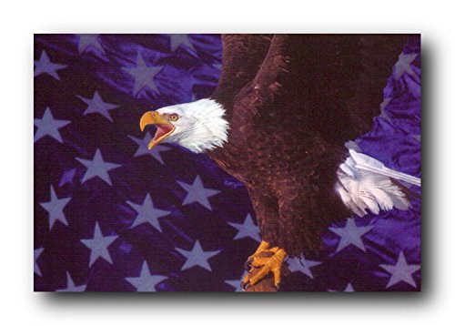 American Bald Eagle Wall Art - Patriotic Flying Bird Print Poster 16x20 - Perfect for Home Office Decor, Living Room & Man Cave