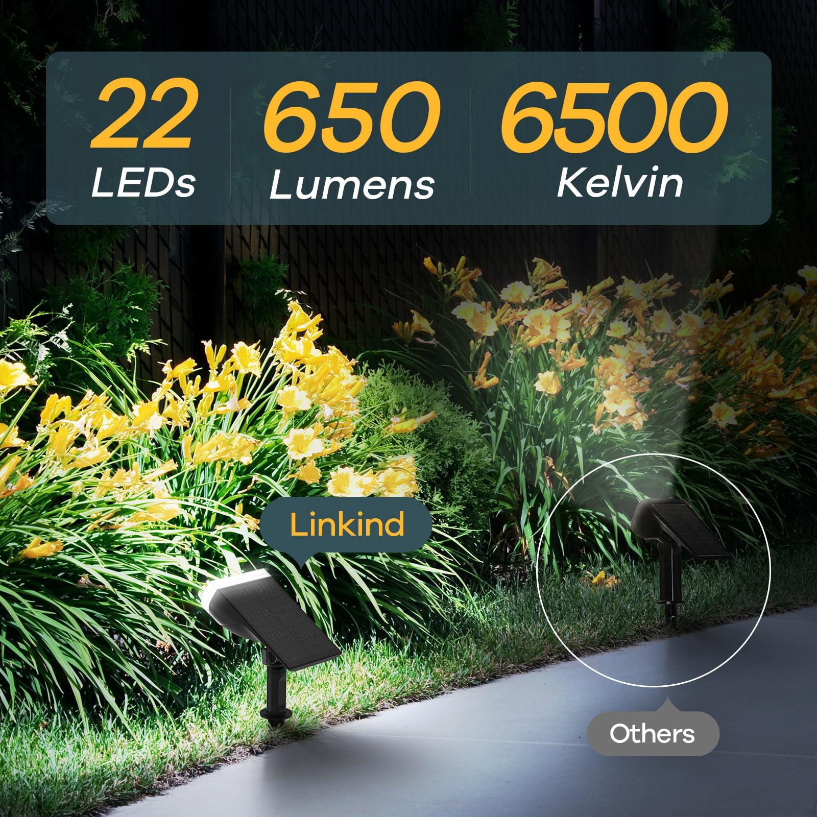 Linkind StarRay Solar Spot Lights Outdoor - IP67 Waterproof, 6500K Daylight Landscape Lighting for Garden & Yard (2 Pack) | Dusk-to-Dawn Auto On/Off | Perfect for Pathways, Trees & Architectural Accents