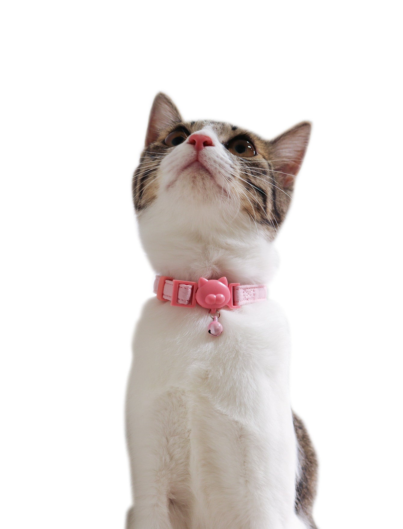 Stylish Light Pink Cat Collar for Small & Large Cats - Fashionable Pet Accessory for Indoor & Outdoor Use