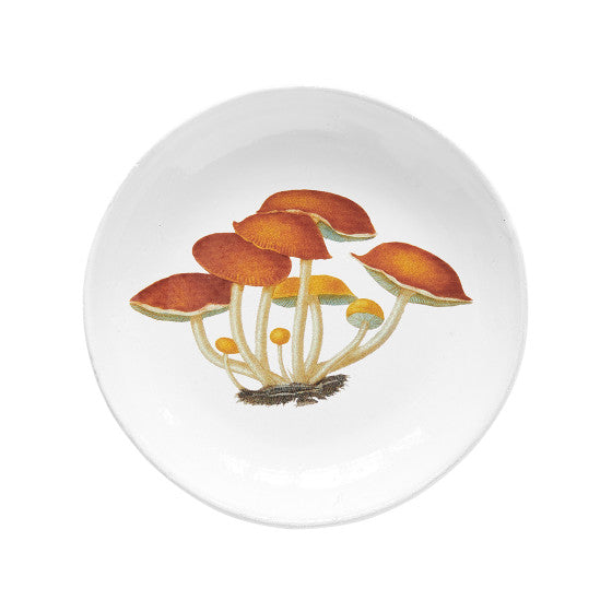 Premium Agaric Amer Soup Plate Set - Elegant Ceramic Dinnerware for Soup, Salad & Dessert - Perfect for Family Dinners, Parties & Restaurant Use