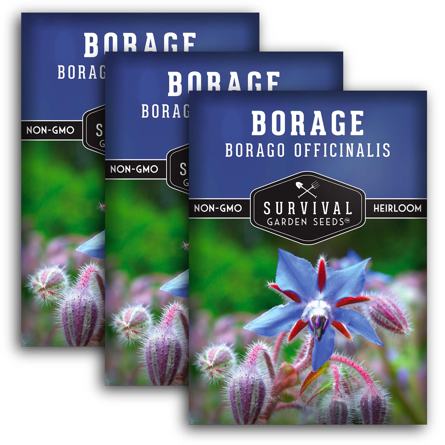 Organic Borage Seeds for Planting - Non-GMO, Heirloom Herb Seeds for Garden, Kitchen & Medicinal Use - Perfect for Teas, Salads, and Pollinator Gardens