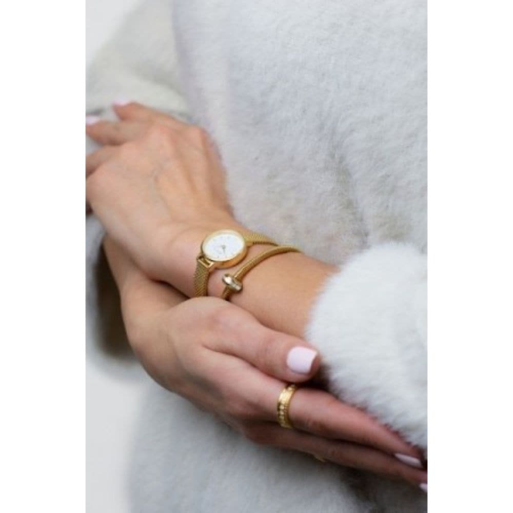 BERING Women's Watch - Elegant Mother's Day Gift 2020, 170 Collection - Perfect for Daily Wear, Office & Special Occasions