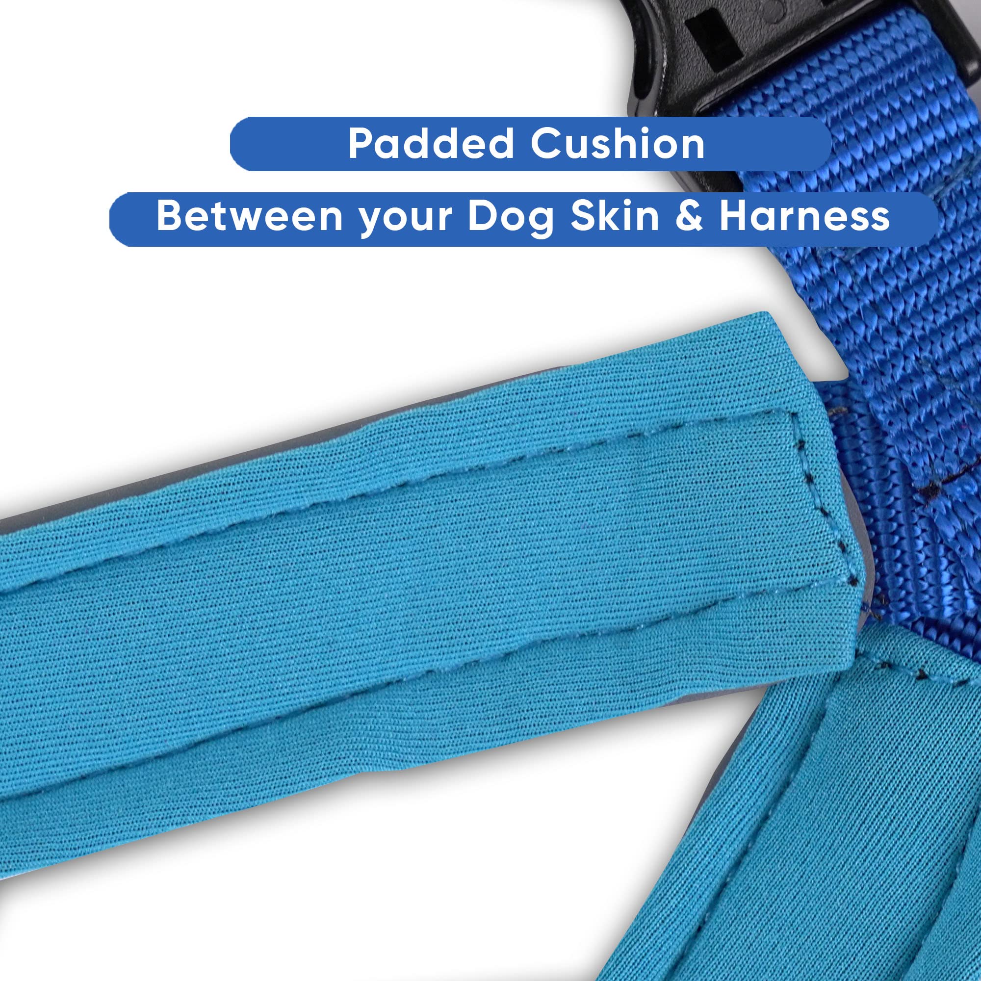 Premium Small Dog Harness & Collar Set with Padded Leash - Comfortable Blue Value Bundle for Small Breeds | Perfect for Walking, Training & Outdoor Adventures