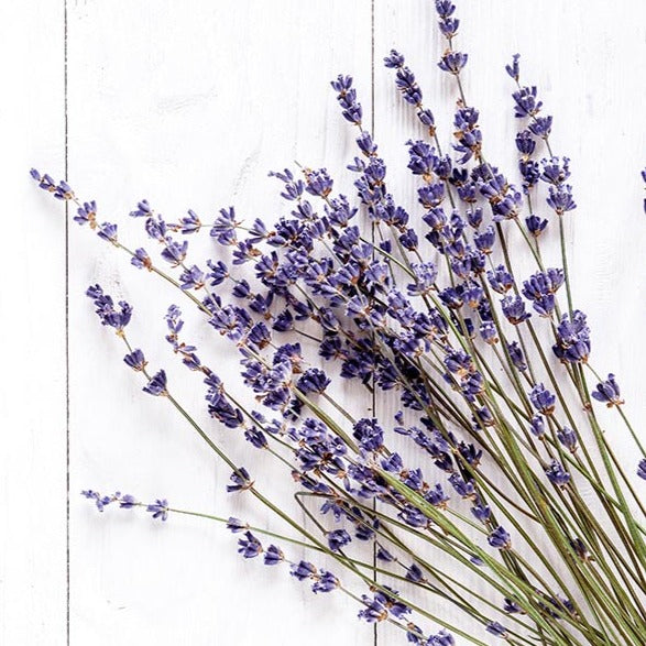 Certified Organic Lavender Essential Oil 10ml - Pure & Natural for Aromatherapy, Relaxation & Skin Care