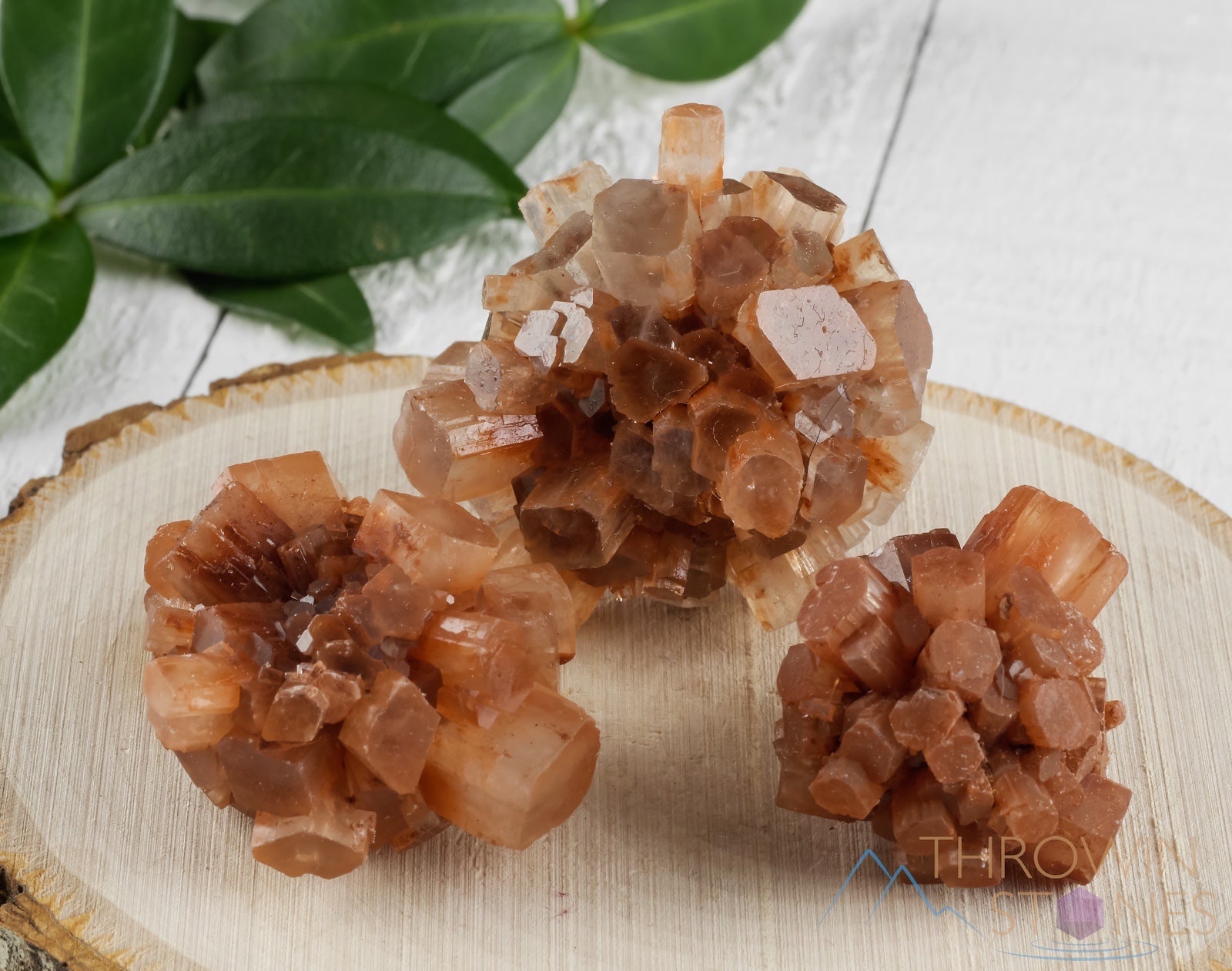 Natural Raw ARAGONITE Crystal Cluster Star - Healing Stone for Meditation, Energy Cleansing & Home Decor - Metaphysical Rocks & Minerals (E1076) - Perfect for Yoga Spaces, Altars & Spiritual Gifts