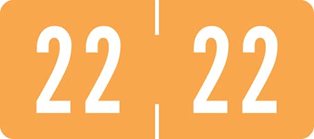 2022 Year Stickers - Light Orange Tab Labels for File Folders, 500/Roll, 1/2
