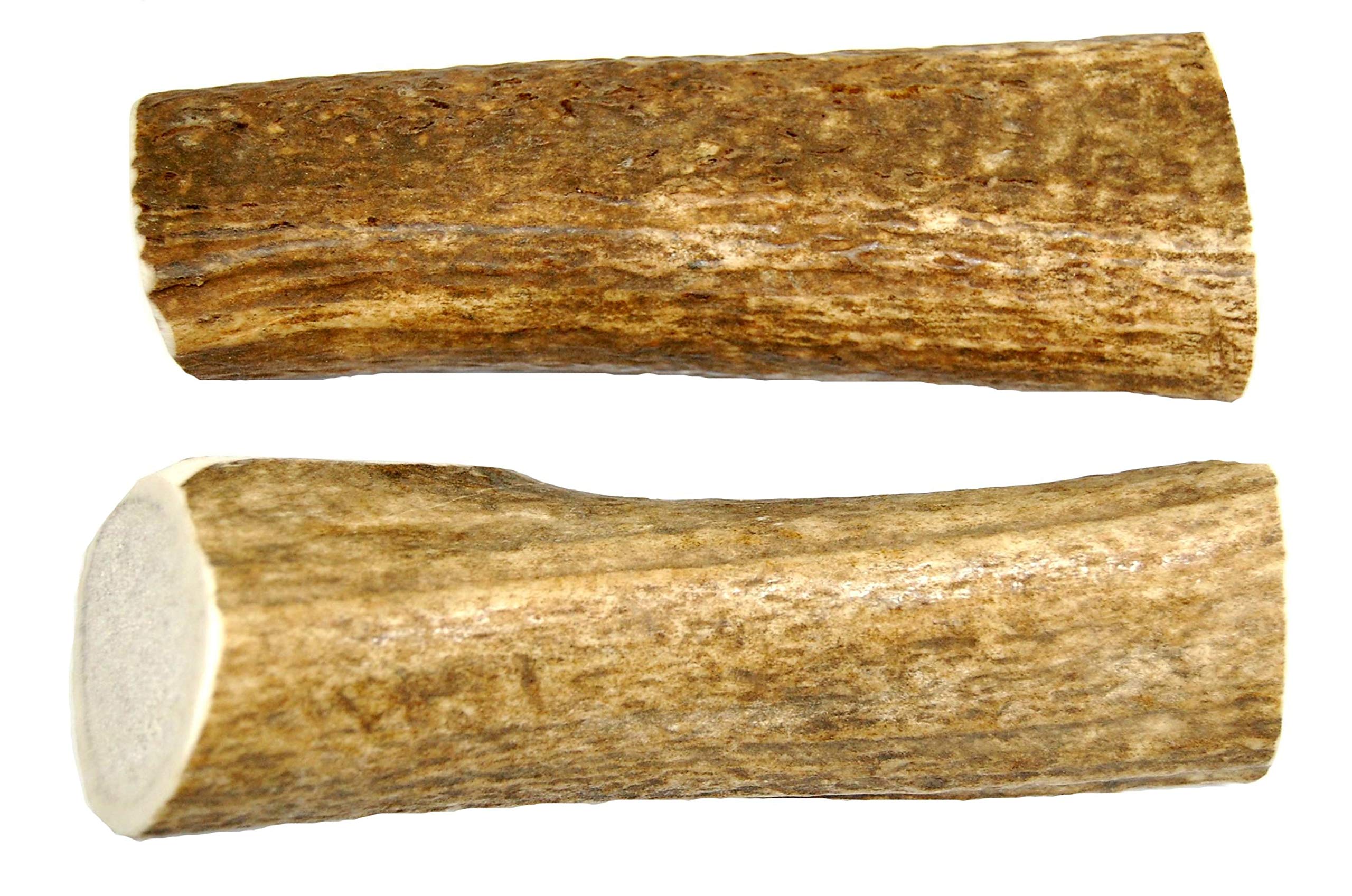 Premium Extra Large 2-Pack Elk Antler Dog Chews (6-10 Inches) - Natural Long-Lasting Dental Treats for Medium & Large Breed Dogs & Puppies - Perfect for Aggressive Chewers, Teething Relief & Dental Health