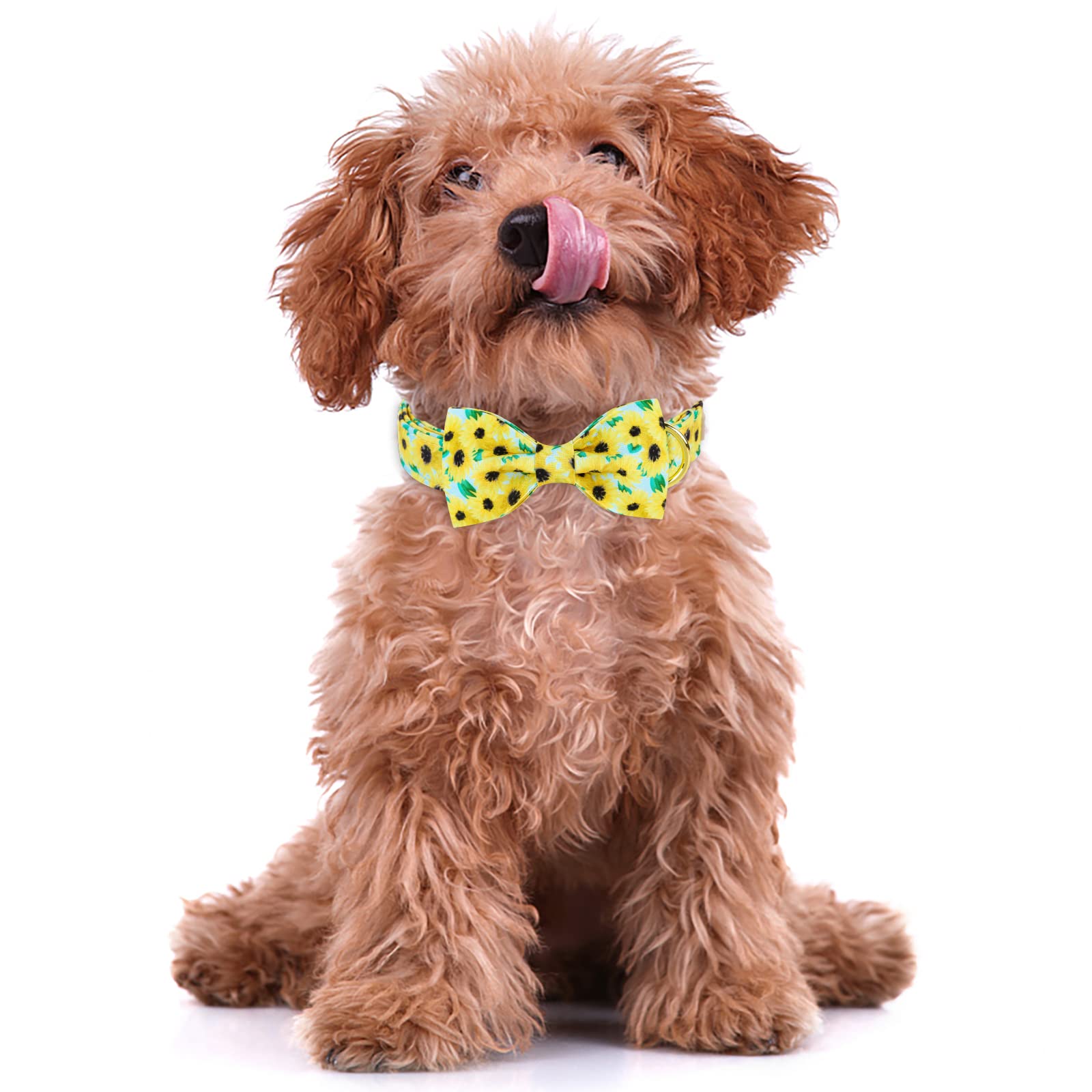 Adjustable Cotton Dog Collar with Sunflower Bow Tie & Metal Buckle - 16