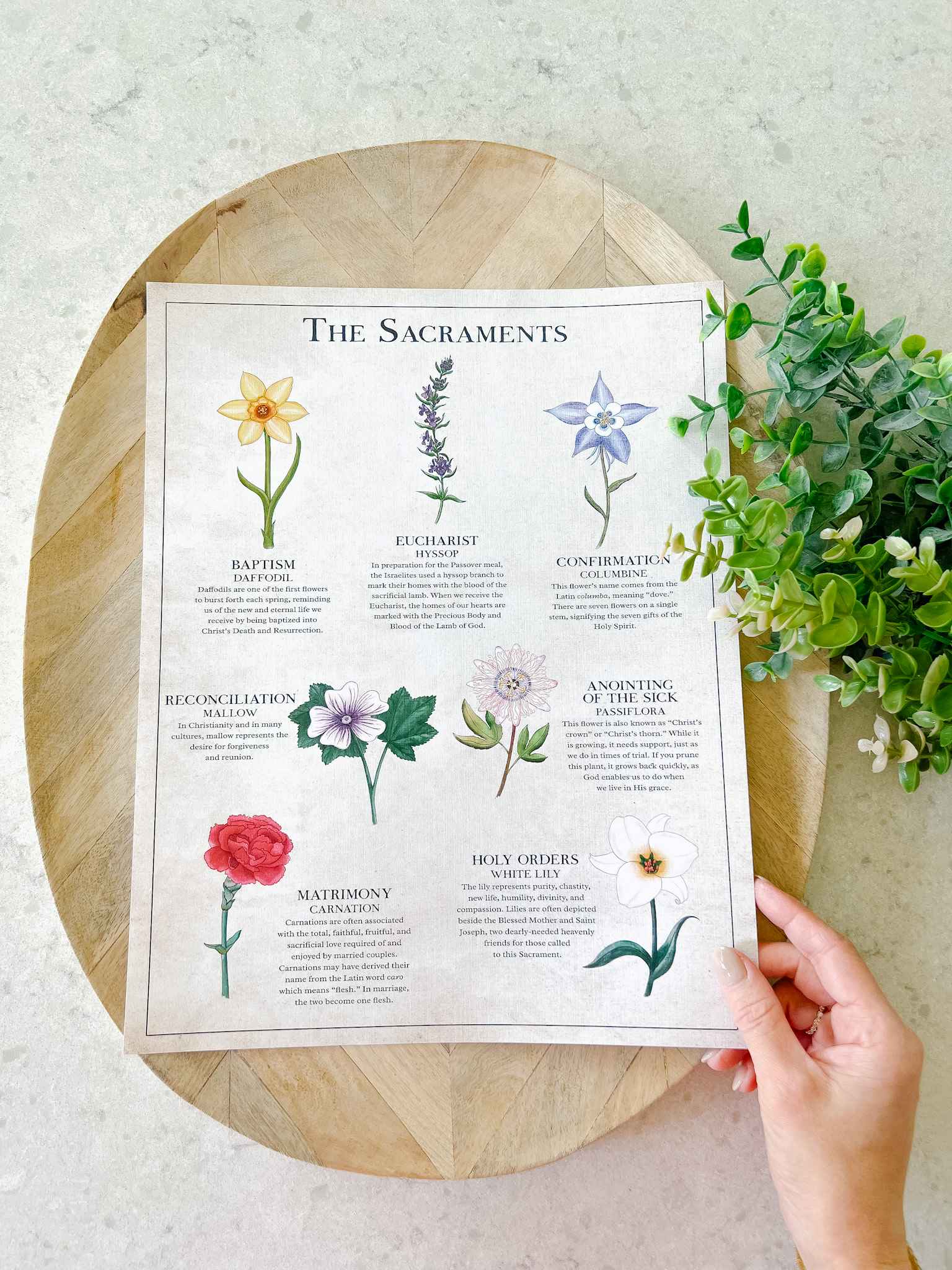 The Seven Sacraments Catholic Religious Art Print - Perfect for Home Decor, Church Display & Gift Giving